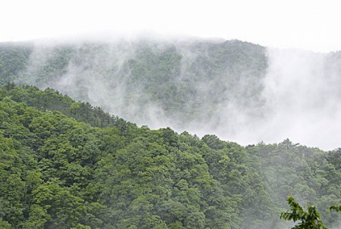 九月下雨天的心情說說 下雨天的朋友圈句子