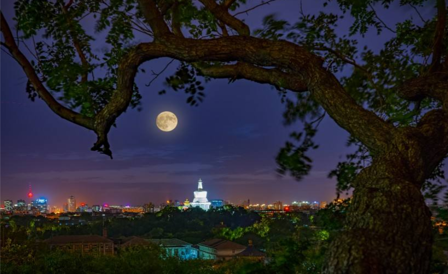 2019小學(xué)中秋節(jié)主題活動方案 小學(xué)中秋節(jié)活動策劃書集錦 2019小學(xué)中秋節(jié)主題活動方案 小學(xué)中秋節(jié)活動策劃書集錦