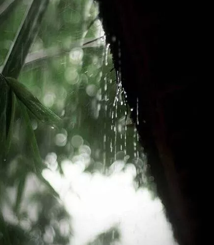 下雨天天氣涼爽的心情說說 秋天天氣涼爽的朋友圈句子 下雨天天氣涼爽的心情說說 秋天天氣涼爽的朋友圈句子