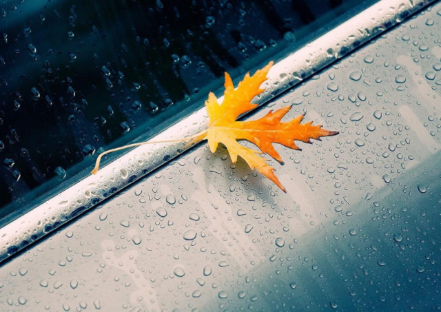 秋雨綿綿的唯美說說心情句子 秋雨綿綿唯美句子帶圖說說 秋雨綿綿的唯美說說心情句子 秋雨綿綿唯美句子帶圖說說