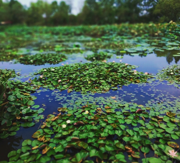 暑假要結(jié)束了懷念的心情 關(guān)于暑假結(jié)束了的句子說說