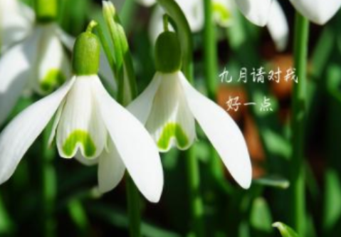 九月第一天說說心情 九月第一天朋友圈句子