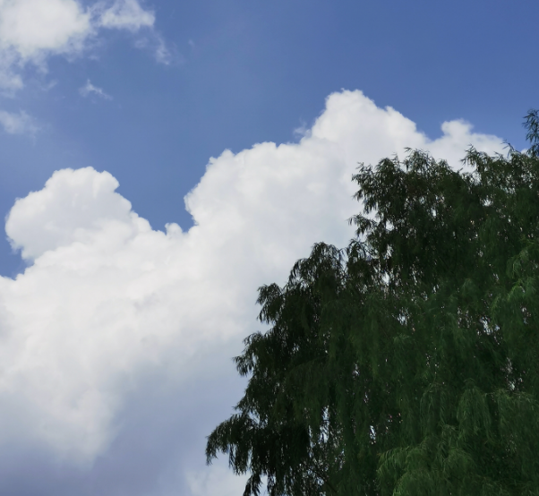 夏天再見秋天你好圖片 夏天再見秋天你好說說朋友圈