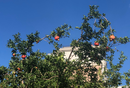 夏天再見秋天你好圖片 夏天再見秋天你好說說朋友圈