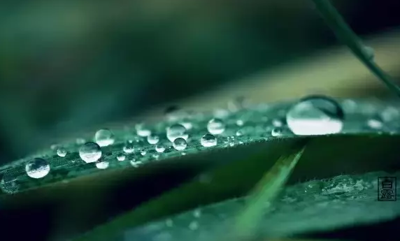 白露后天氣還熱嗎2019 白露后秋老虎還在嗎 白露后天氣還熱嗎2019 白露后秋老虎還在嗎