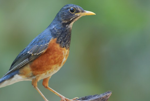 8月最后一天帶字圖片說說2019 8月最后一天心情感慨