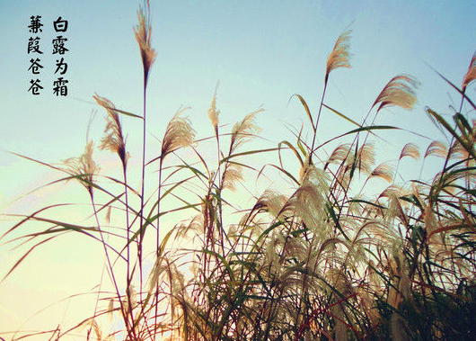 白露吃什么食物養(yǎng)生 白露養(yǎng)生食物推薦