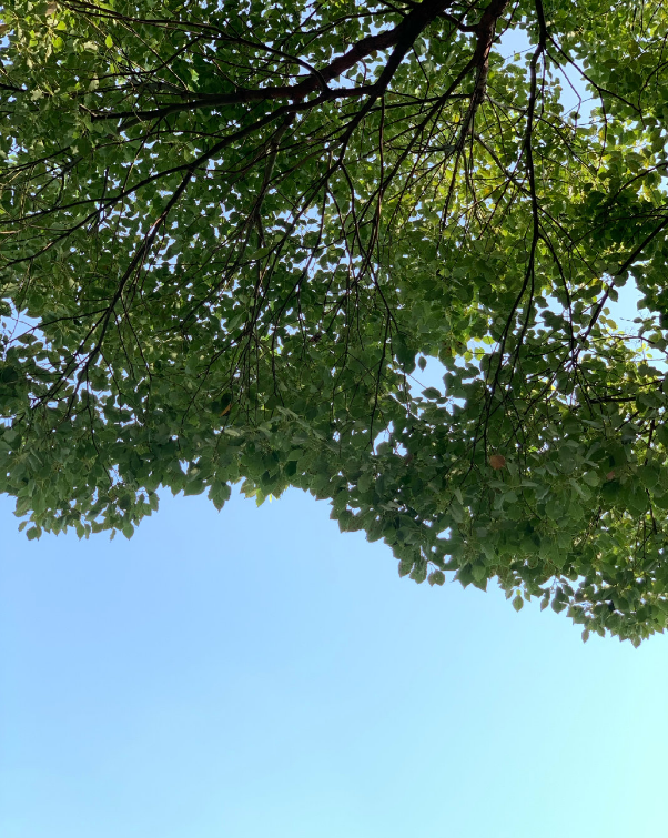 秋天真好的優(yōu)美句子段落 秋天真好相關(guān)的心情說說