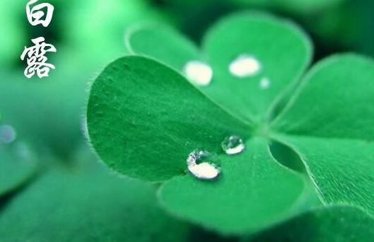 關(guān)于白露的古詩句有哪些 描寫白露的古詩詞大全