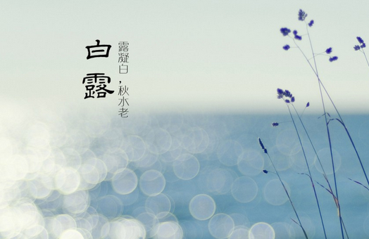 白露三候是什么意思 白露三候的特點