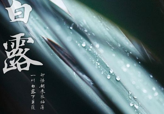 白露三候是什么意思 白露三候的特點