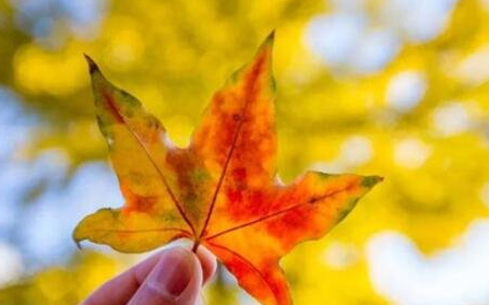 九月第一天加油說說 九月第一天加油的句子 九月第一天加油說說 九月第一天加油的句子