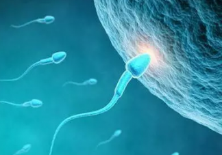 成年人長期沒有性生活會有什么影響 長期禁欲的危害是什么