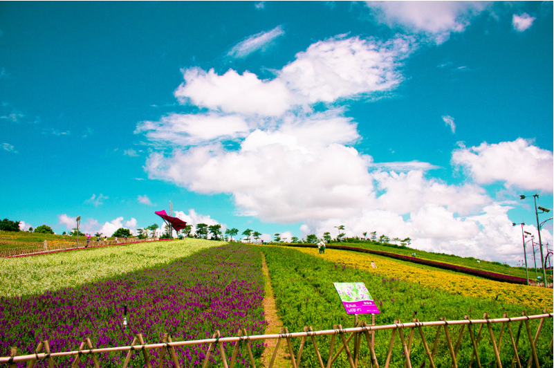 2019九月晚安致自己朋友圈說說句子 2019九月晚安心語朋友圈心情短語