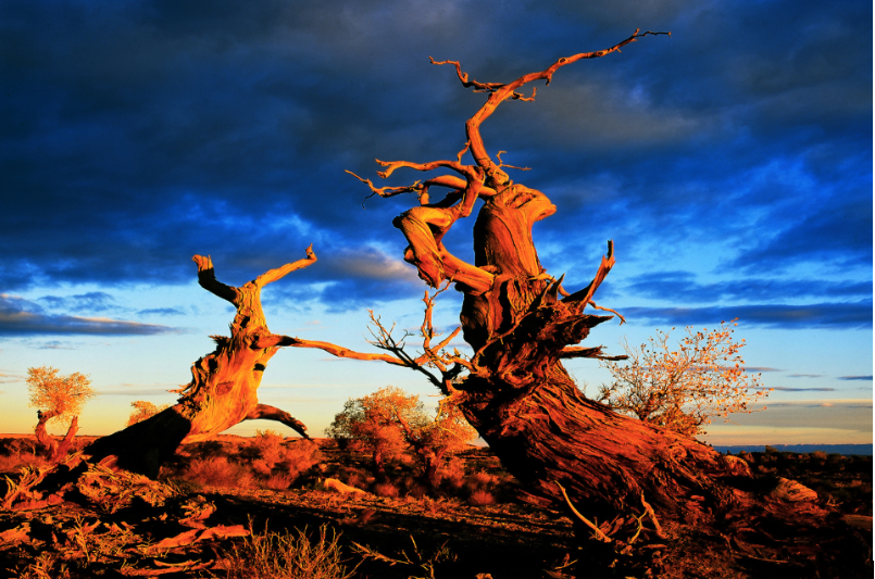 2019九月晚安致自己朋友圈說說句子 2019九月晚安心語朋友圈心情短語