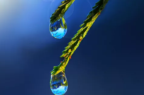 2019白露時節(jié)祝福語 白露節(jié)氣微信問候語大全