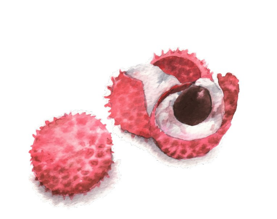 孩子吃多了荔枝會得荔枝病嗎 怎么健康安全的給孩子吃荔枝