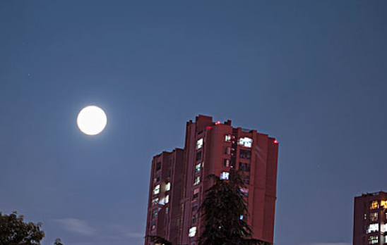 2019中秋節(jié)手抄報(bào)大全 簡單漂亮的中秋節(jié)手抄報(bào)圖片 2019中秋節(jié)手抄報(bào)大全 簡單漂亮的中秋節(jié)手抄報(bào)圖片