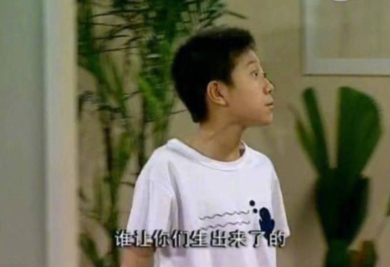 怎么用一句話證明看過家有兒女 家有兒女經典臺詞對話大全 怎么用一句話證明看過家有兒女 家有兒女經典臺詞對話大全