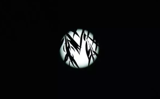 一個人過中秋節的詩句有哪些 中秋節一個人賞月古詩大全 一個人過中秋節的詩句有哪些 中秋節一個人賞月古詩大全