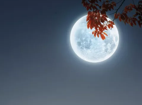 結婚后的第一個中秋節心情說說 表達婚后第一個中秋節感慨句子 結婚后的第一個中秋節心情說說 表達婚后第一個中秋節感慨句子