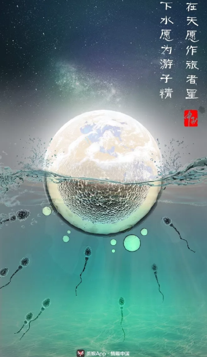 2019中秋節(jié)海報(bào)文案大全 各品牌中秋節(jié)海報(bào)文案推薦