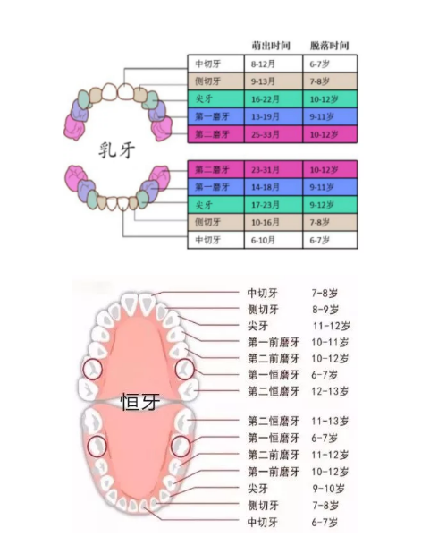 孩子長鯊魚牙怎么辦 孩子乳牙滯留要怎么辦比較好