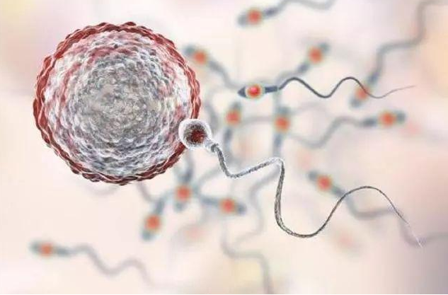 容易懷孕的男女有什么特征 影響備孕的四大隱患 容易懷孕的男女有什么特征 影響備孕的四大隱患