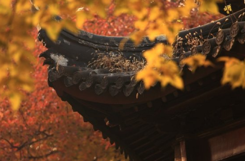 2019秋天你好文字圖片說說 秋天你好朋友心情句子 2019秋天你好文字圖片說說 秋天你好朋友心情句子