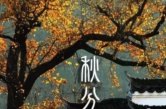 關于秋分的古詩有哪些 秋分手抄報古詩內容大全