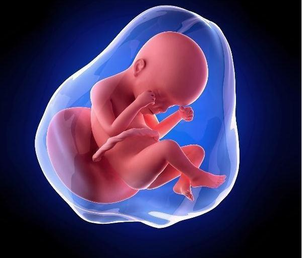 孕婦多喝水可以讓羊水變清澈嗎 什么時候喝水羊水更清澈