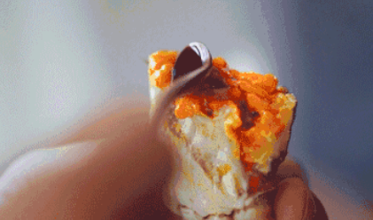 螃蟹和西紅柿能一起吃嗎 一起吃會中毒嗎 螃蟹和西紅柿能一起吃嗎 一起吃會中毒嗎