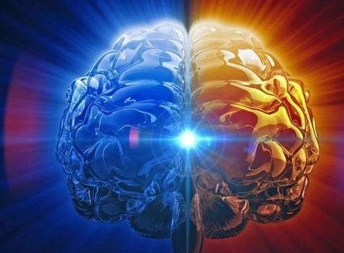 研究稱人能感知自己已死亡是真的嗎 人如何能感知自己的死亡