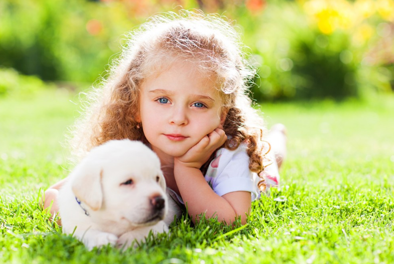 不吃糖是不是就不會蛀牙 如何給孩子預防蛀牙 不吃糖是不是就不會蛀牙 如何給孩子預防蛀牙
