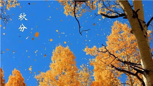 秋分后要注意什么孩子少生病 秋分后讓孩子少生病的4個要點