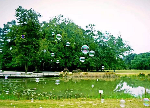 2019幼兒園秋游活動方案大全 幼兒園秋游活動方案三篇