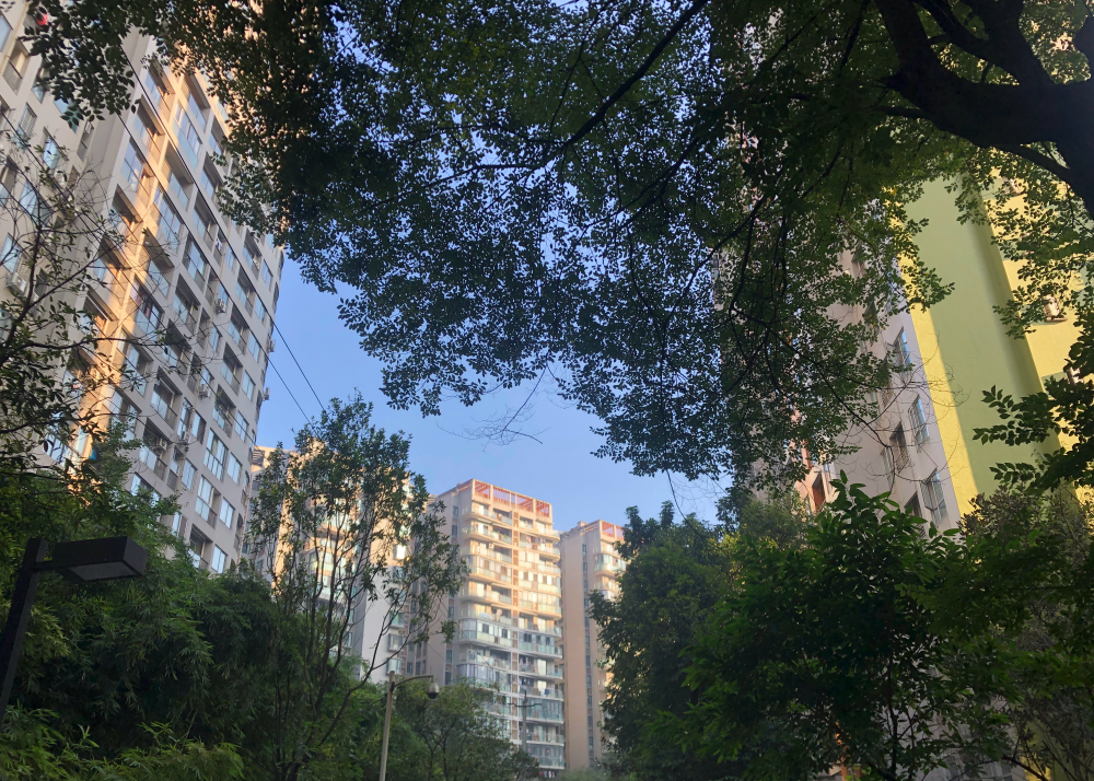 贊美桂花香的心情句子 描寫(xiě)桂花香的唯美句子感慨 贊美桂花香的心情句子 描寫(xiě)桂花香的唯美句子感慨