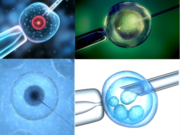 試管嬰兒壽命和正常孩子一樣嗎 試管嬰兒壽命有多長