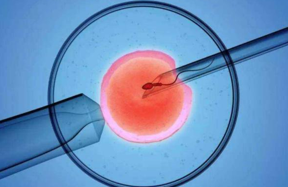 試管嬰兒壽命和正常孩子一樣嗎 試管嬰兒壽命有多長