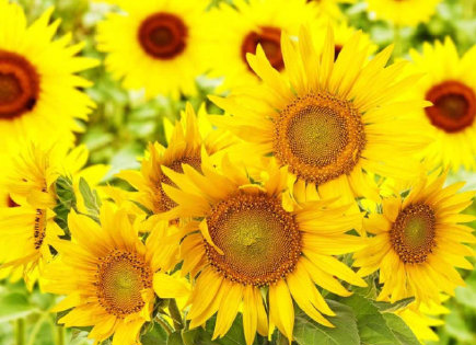 十月請善待我身邊的人說說 請善待我身邊的人朋友圈句子 十月請善待我身邊的人說說 請善待我身邊的人朋友圈句子