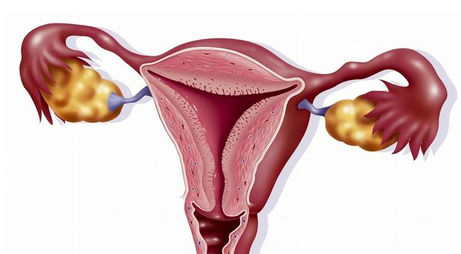 宮頸糜爛會影響受孕嗎 宮頸糜爛會對分娩造成影響嗎