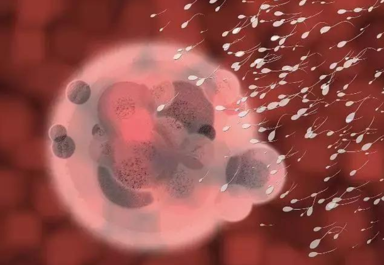 常見的避孕方式有哪些 常見的8種避孕方式盤點(diǎn)