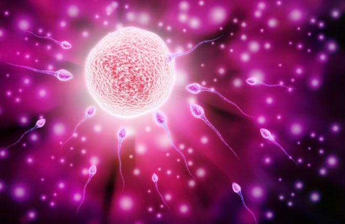 供卵試管嬰兒和普通試管嬰兒有什么不同 供卵試管嬰兒和普通試管嬰兒的區別 供卵試管嬰兒和普通試管嬰兒有什么不同 供卵試管嬰兒和普通試管嬰兒的區別