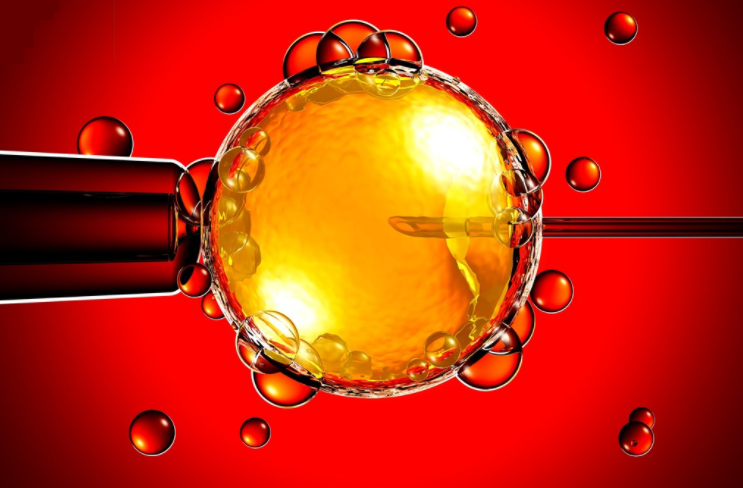 供卵試管嬰兒和普通試管嬰兒有什么不同 供卵試管嬰兒和普通試管嬰兒的區別 供卵試管嬰兒和普通試管嬰兒有什么不同 供卵試管嬰兒和普通試管嬰兒的區別