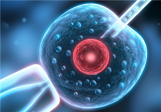 供卵試管嬰兒和普通試管嬰兒有什么不同 供卵試管嬰兒和普通試管嬰兒的區別