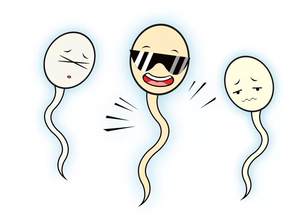 備孕了很久沒(méi)懷上孩子是怎么回事 備孕時(shí)間長(zhǎng)是沒(méi)懷上是誰(shuí)的問(wèn)題