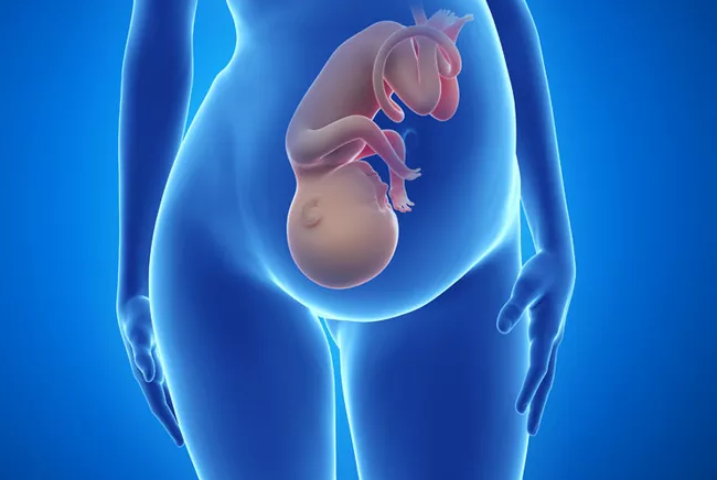 孕37周和40周出生有沒有區(qū)別 寶寶在媽媽肚子里的時間越長越好嗎