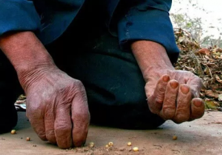 世界糧食日手抄報大全 世界糧食日手抄報模板圖片