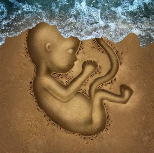 空氣污染會增加流產風險是真的嗎 空氣污染物是如何影響孕婦和胎兒