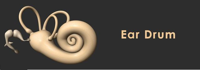 新生兒聽力篩查不過關是聽力障礙嗎 新生兒聽力篩查未通過什么時候復查 新生兒聽力篩查不過關是聽力障礙嗎 新生兒聽力篩查未通過什么時候復查